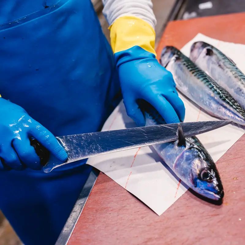 limpiando-pescado