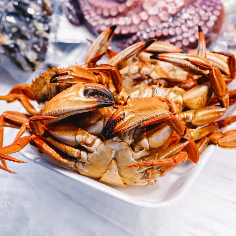 mariscos-ok
